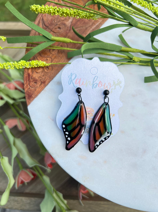 Rainbow Butterfly Wings